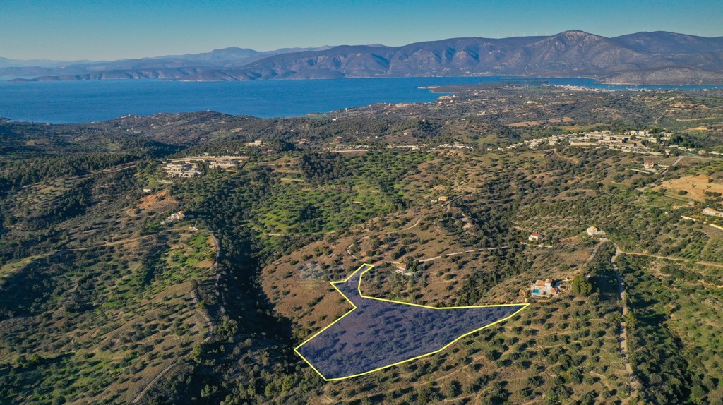 Οικόπεδο 21.386 τ.μ. προς πώληση, Βερβερούδα