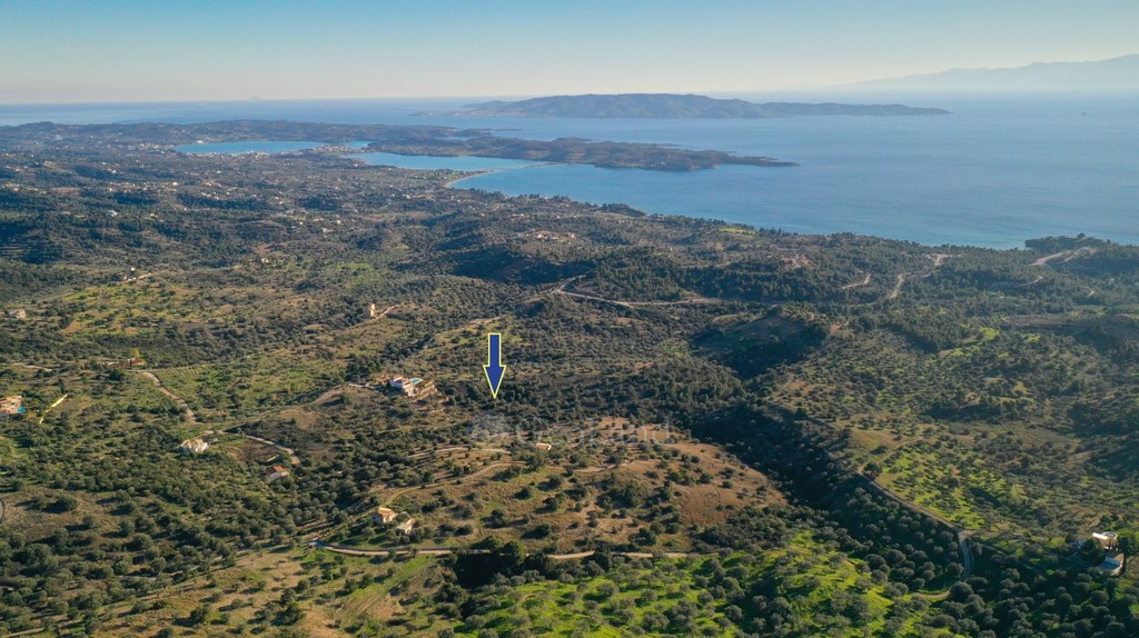 Οικόπεδο 21.386 τ.μ. προς πώληση, Βερβερούδα