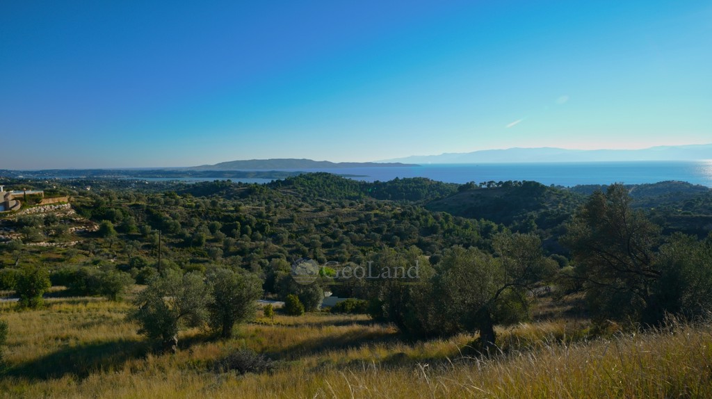 Οικόπεδο 21.386 τ.μ. προς πώληση, Βερβερούδα
