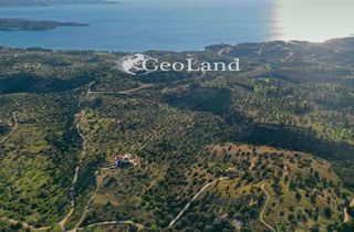 Οικόπεδο 25.294 τ.μ. για πώληση, Αργολίδα, Κρανίδι-thumb-10