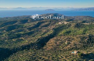 Οικόπεδο 25.294 τ.μ. για πώληση, Αργολίδα, Κρανίδι-thumb-13