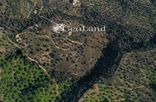 Οικόπεδο 25.294 τ.μ. για πώληση, Αργολίδα, Κρανίδι-thumb-19