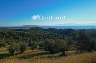 Οικόπεδο 25.294 τ.μ. για πώληση, Αργολίδα, Κρανίδι-thumb-18