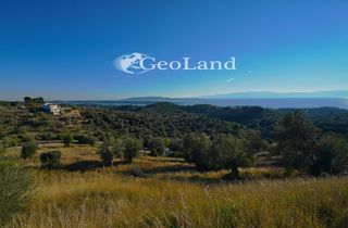 Οικόπεδο 25.294 τ.μ. για πώληση, Αργολίδα, Κρανίδι-thumb-7