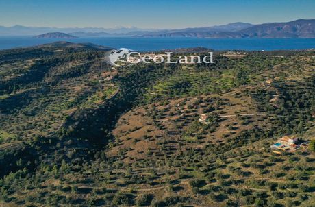 Οικόπεδο 25.294τ.μ. για πώληση-Κρανίδι » Βερβερούδα