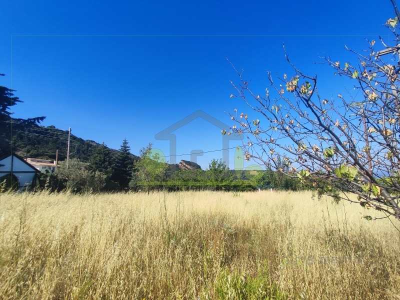 Αγροτεμάχια 601 τ.μ. προς πώληση, Άνω Καστρίτσι