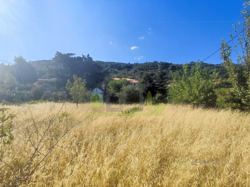 Αγροτεμάχια 601 τ.μ. προς πώληση, Άνω Καστρίτσι
