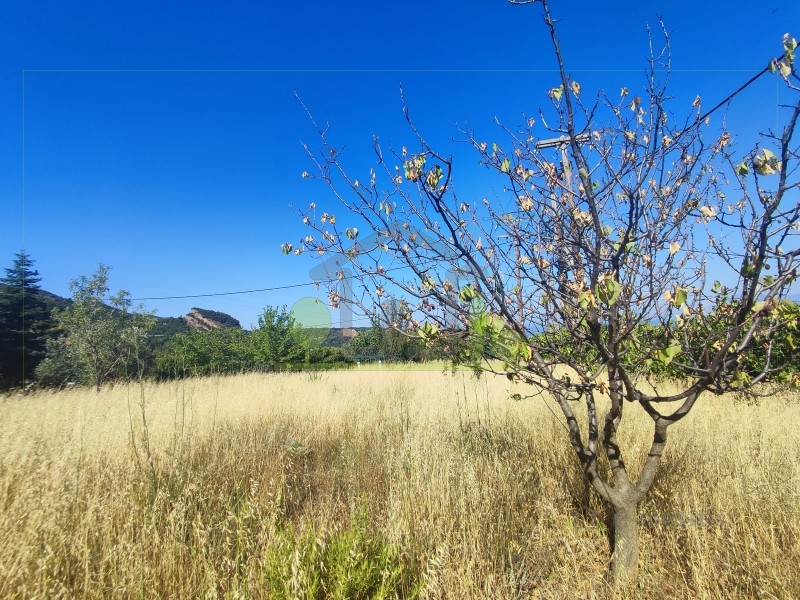 Αγροτεμάχια 601 τ.μ. προς πώληση, Άνω Καστρίτσι