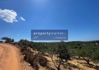 Αγροτεμάχια 2.487 τ.μ. για πώληση