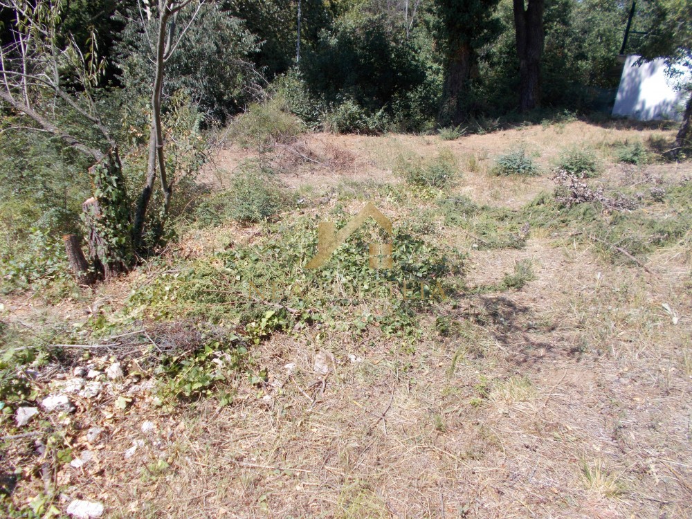Οικόπεδο 1.360 τ.μ. πρός πώληση, Θεσσαλονίκη - Περιφ/Κοί Δήμοι, Χορτιάτης