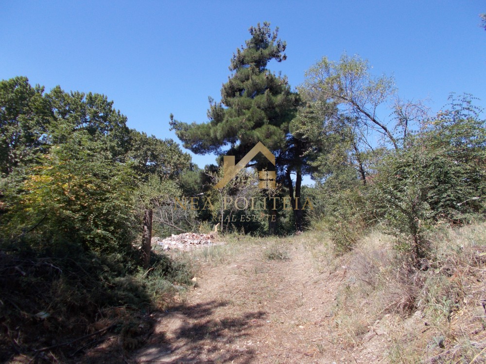 Οικόπεδο 1.360 τ.μ. πρός πώληση, Θεσσαλονίκη - Περιφ/Κοί Δήμοι, Χορτιάτης