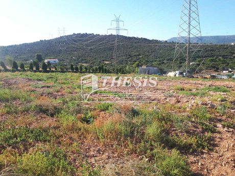 Parcel 12.000sqm for sale-Mandra » Pournari
