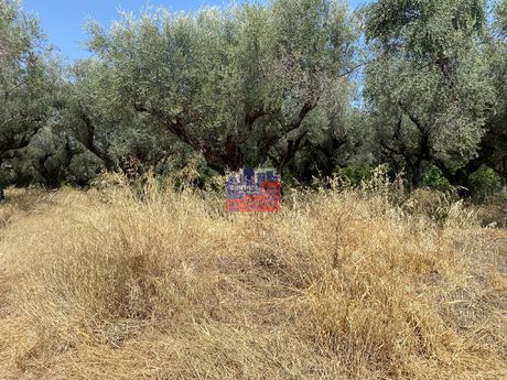 Οικόπεδο 2.500 τ.μ. για πώληση