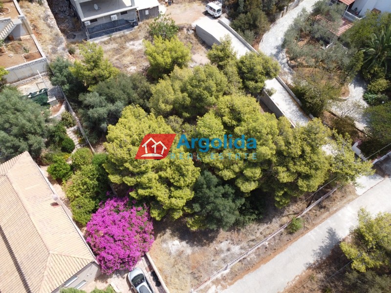 Οικόπεδο 1.008 τ.μ. προς πώληση, Πευκάλι
