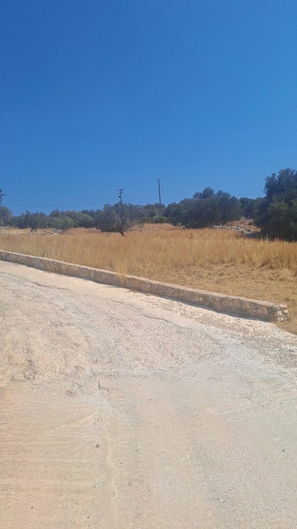 Αγροτεμάχια 4.033 τ.μ. πρός πώληση, Ν. Κεφαλονιάς, Κεφαλονιά