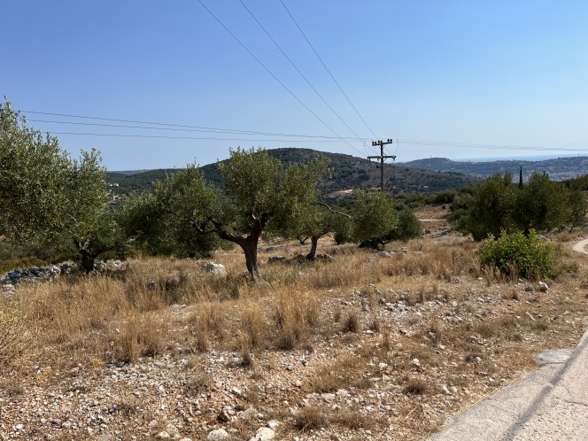 Αγροτεμάχια 4.033 τ.μ. πρός πώληση, Ν. Κεφαλονιάς, Κεφαλονιά