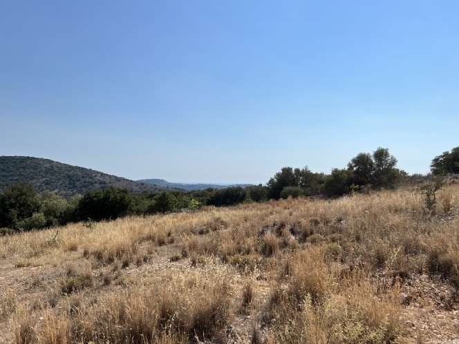 Αγροτεμάχια 4.033 τ.μ. πρός πώληση, Ν. Κεφαλονιάς, Κεφαλονιά