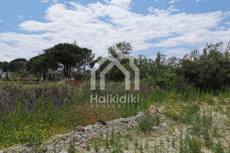 Οικόπεδο 1.073τ.μ. για πώληση-Σιθωνία » Παρθενώνας
