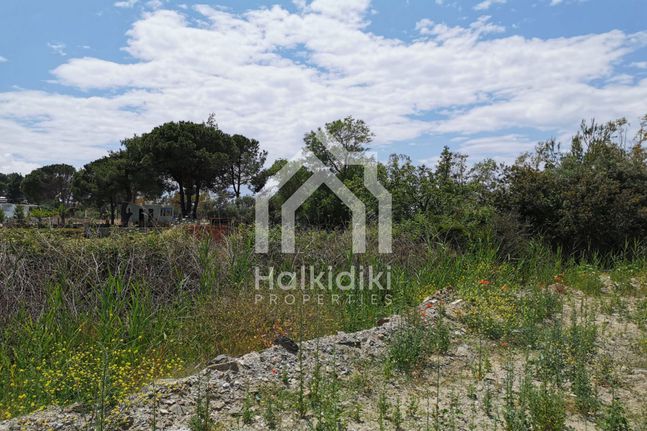 Οικόπεδο 1.073 τ.μ. για πώληση, Χαλκιδική, Σιθωνία