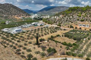 Αγροτεμάχια 1.340 τ.μ. για πώληση, Αργολίδα, Ερμιόνη-thumb-11