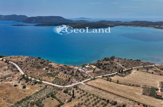Αγροτεμάχια 1.340 τ.μ. για πώληση