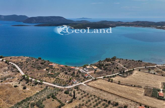 Αγροτεμάχια 1.340 τ.μ. για πώληση, Αργολίδα, Ερμιόνη