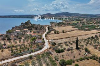Αγροτεμάχια 1.340 τ.μ. για πώληση, Αργολίδα, Ερμιόνη-thumb-7