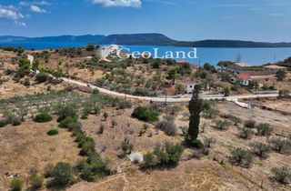 Αγροτεμάχια 1.340 τ.μ. για πώληση, Αργολίδα, Ερμιόνη-thumb-6