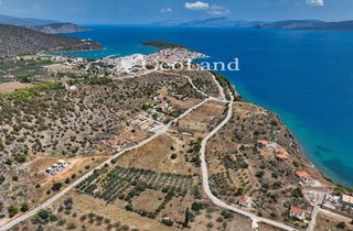 Αγροτεμάχια 1.340 τ.μ. για πώληση, Αργολίδα, Ερμιόνη-thumb-5