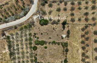 Αγροτεμάχια 1.340 τ.μ. για πώληση, Αργολίδα, Ερμιόνη-thumb-14