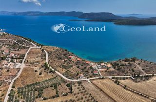 Αγροτεμάχια 1.340 τ.μ. για πώληση, Αργολίδα, Ερμιόνη-thumb-8