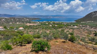 Αγροτεμάχια 4.002 τ.μ. για πώληση, Αργολίδα, Ερμιόνη-thumb-11