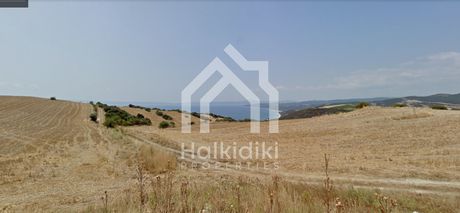 Αγροτεμάχια 15.500τ.μ. για πώληση-Παναγιά » Κέντρο