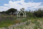 Land plot 1.979sqm for sale-Sithonia » Parthenonas