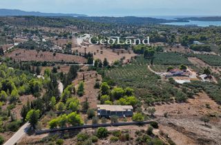 Βίλλα 285 τ.μ. για πώληση, Αργολίδα, Κρανίδι-thumb-9
