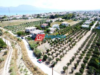 Οικόπεδο 4.113 τ.μ. προς πώληση, Βραχάτι-thumb-6