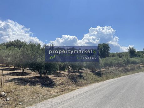 Αγροτεμάχια 1.122 τ.μ. για πώληση