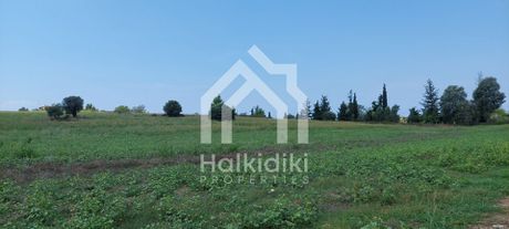 Αγροτεμάχια 11.965τ.μ. για πώληση-Κασσάνδρα » Κασσανδρηνό