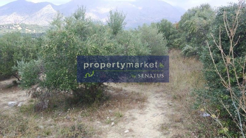 Αγροτεμάχια 750 τ.μ. πρός πώληση, Ν. Ρεθύμνου, Κουλουκώνας