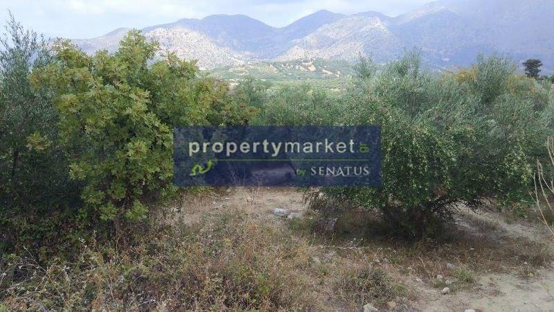 Αγροτεμάχια 750 τ.μ. πρός πώληση, Ν. Ρεθύμνου, Κουλουκώνας