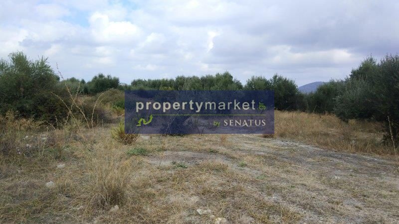 Αγροτεμάχια 1.350 τ.μ. πρός πώληση, Ν. Ρεθύμνου, Κουλουκώνας