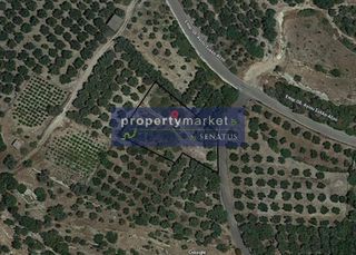 Αγροτεμάχια 1.350 τ.μ. για πώληση