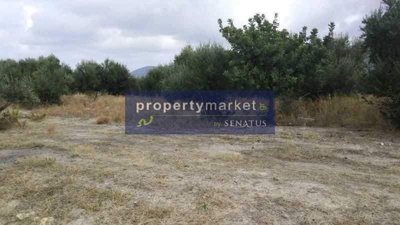 Αγροτεμάχια 1.350 τ.μ. πρός πώληση, Ν. Ρεθύμνου, Κουλουκώνας