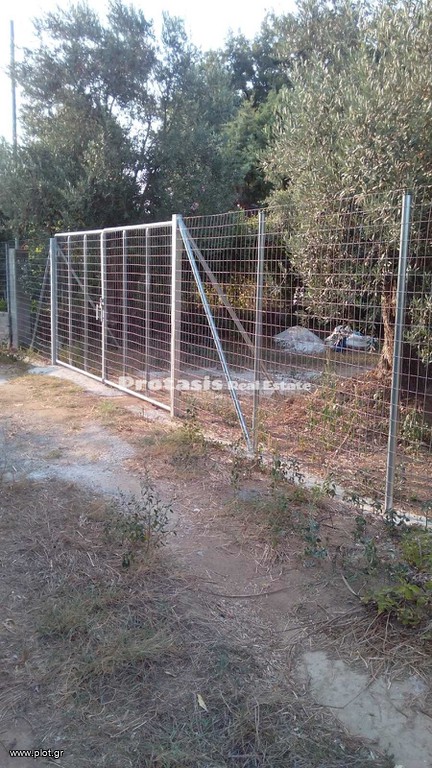 Αγροτεμάχια 1.387 τ.μ. προς πώληση, Αγιόκαμπος Αιδηψού