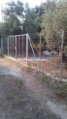 Αγροτεμάχια 1.387 τ.μ. για πώληση