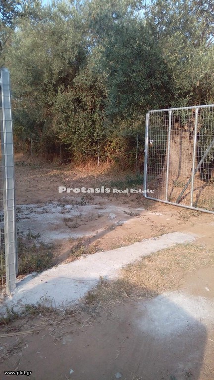 Αγροτεμάχια 1.387 τ.μ. προς πώληση, Αγιόκαμπος Αιδηψού