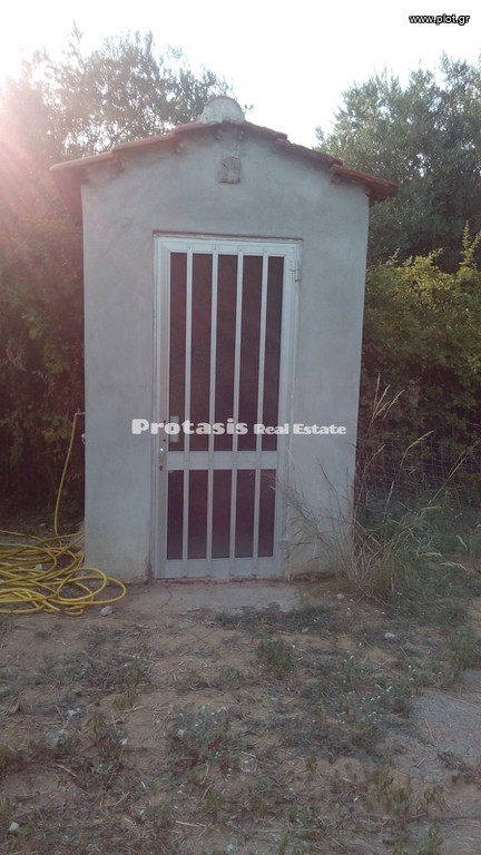 Αγροτεμάχια 1.387 τ.μ. προς πώληση, Αγιόκαμπος Αιδηψού