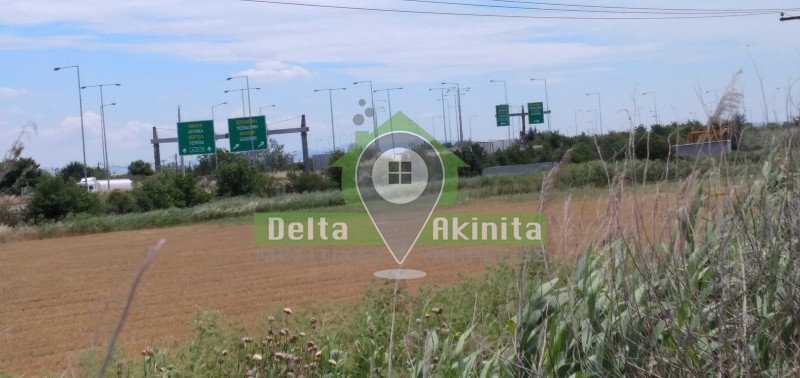 Αγροτεμάχια 7.728 τ.μ. πρός πώληση, Θεσσαλονίκη - Περιφ/Κοί Δήμοι, Εχέδωρος