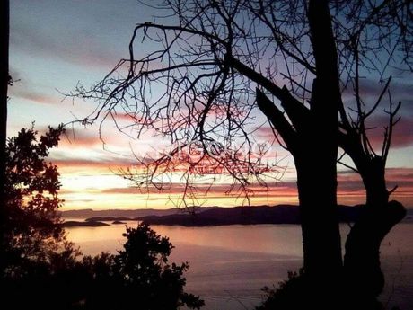 Parcel 4.830sqm for sale-Skopelos » Glossa
