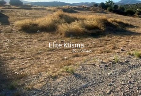 Οικόπεδο 17.500τ.μ. για πώληση-Μαρκόπουλο » Κέντρο